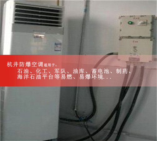 化工廠(chǎng)防爆空調機案例圖